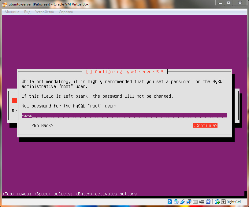 Ubuntu Server. Ввод пароля MySQL для root пользователя