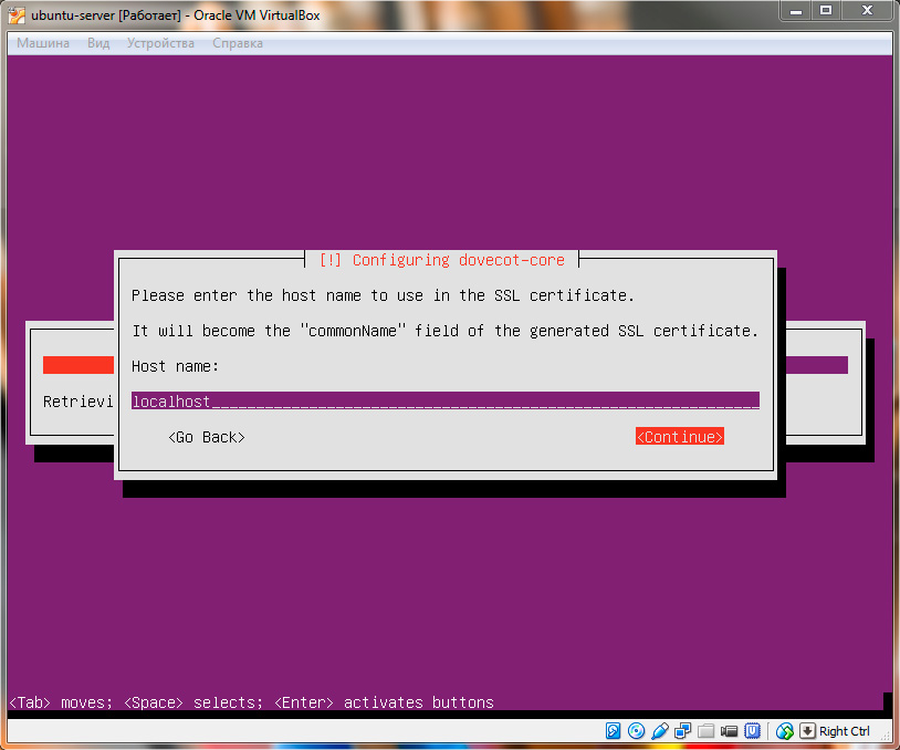 Ubuntu Server. Ввод имени хоста