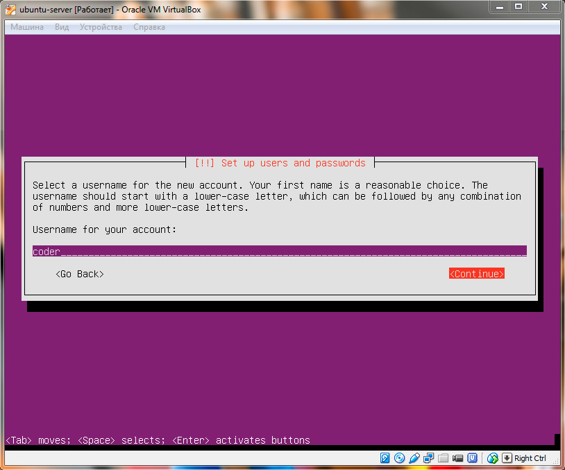 Ubuntu Server. Ввод логина прользователя