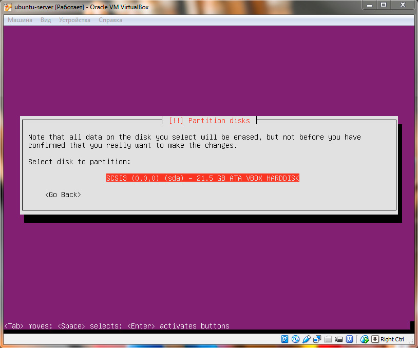 Ubuntu Server. Выбор жесткого диска