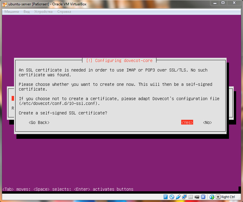 Ubuntu Server. SSL сертификат