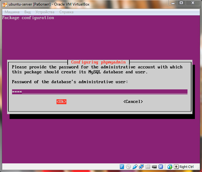 Ubuntu Server. Установка phpMyAdmin. Пароль администартора БД